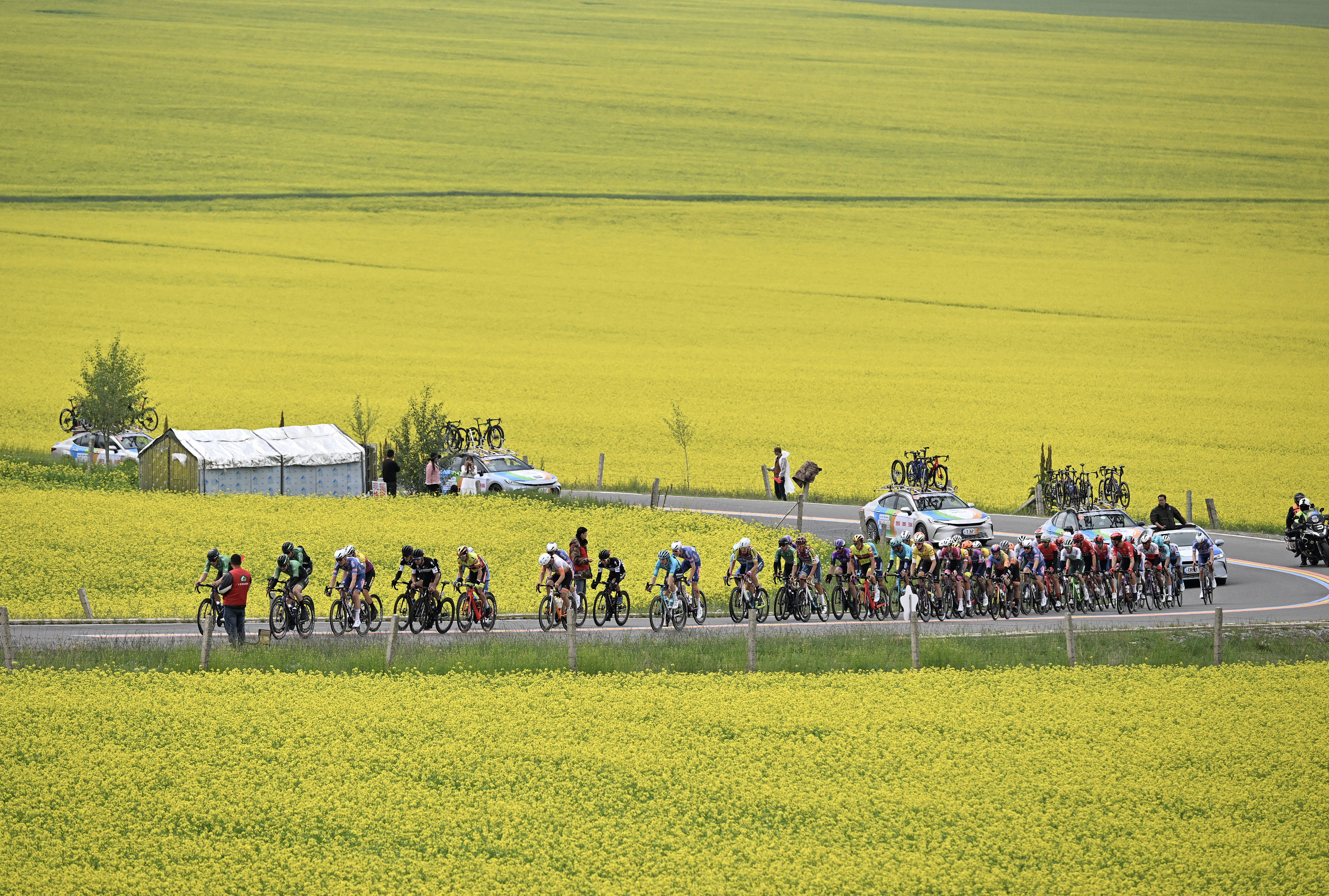 1735257027486146.jpg 三等奖-3 拷贝-小图.jpg